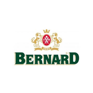 Bernard 11° točené pivo  0,5l