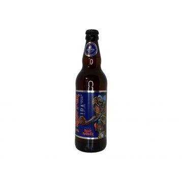 Iron Maiden´s Trooper  IPA exp. 31.8.  6% alc. 0,5l