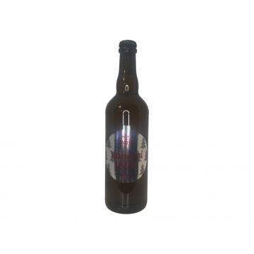 Vánoční světlý speciál 13   0,7l pivovar Mazák