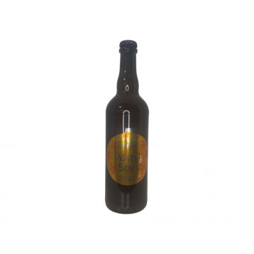 Vánoční pastry sour 16   0,7l pivovar Mazák