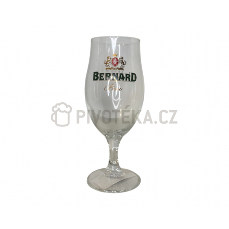 Sklo pohár Bernard Executive  0,2l