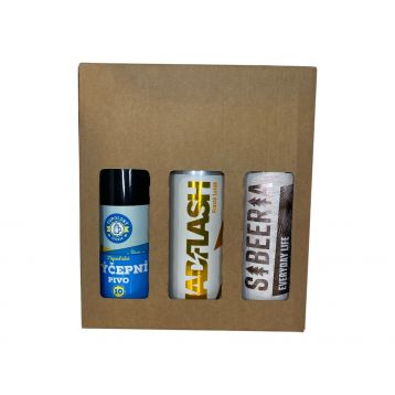 Degustační krabice CRAFT 6x 0,5l plech Ležák