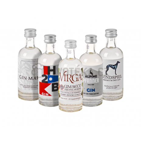 The Gin Box World Tour 10x 0,05 l