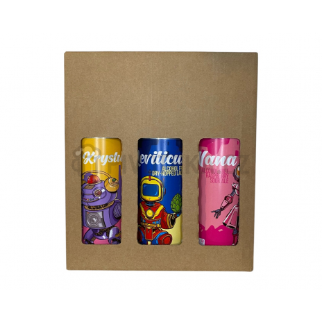 Degustační krabice CRAFT 6x 0,5l plech NEALKO